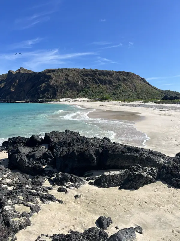 Charles Darwin et les Galapagos